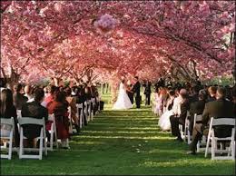 Brooklyn Botanical Garden Wedding Google Search Places To Get Married Outdoor Wedding Destinations Free Wedding Venues