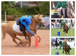 Mounted Pony Games Equipment For Sale In Dublin For 20 On Donedeal