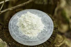 Image result for Synadenium kirkii