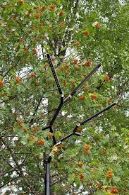 Branch Street Lighting By Keha3 Imitates Crowns Of Pine Trees Street Light Outdoor Lighting Outdoor Lighting Design
