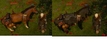 Learn Something New Every Playthrough Witcher After meeting with the painter on the market in beauclair and looking at the portrait. learn something new every playthrough