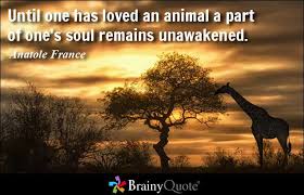 Anatole France Quotes - BrainyQuote via Relatably.com