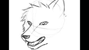Im sure lots of you wolf fans have seen the varieties of wolf shapessizes on the net. Anime Wolf Head Drawings Novocom Top