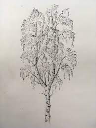 30 Best Birch Tree Tattoos Ideas In 2021 Birch Tree Tattoos Tree Tattoo Birch Tree