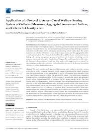 Camel case (sometimes stylized as camelcase or camelcase; Pdf Application Of A Protocol To Assess Camel Welfare Scoring System Of Collected Measures Aggregated Assessment Indices And Criteria To Classify A Pen
