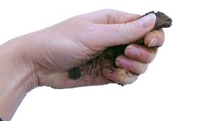 Estimating Soil Texture By Hand Agriculture And Food