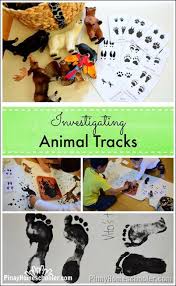 Investigating Animal Tracks And Learn Play Link Up Animal Tracks Animal Activities Woodland Animals Theme