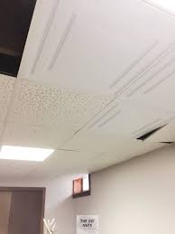 That drop ceiling probably looked like a million bucks when you initially got your house or office done. Drop Ceiling Idea You Don T Want To Miss Ceilume Vinyl Tiles Review The Diy Nuts