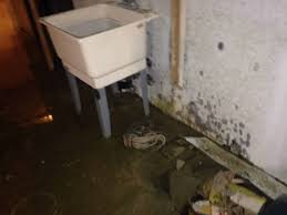 Other causes include poor drainage around the foundation, a faulty foundation, heavy rainfall, irrigation or sprinkler pipe problems, and leaking pipes. Should I Clean My Flooded Basement Myself Constructeam