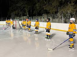 Needham Youth Hockey Association (@needhamyouthhockey) • Instagram photos  and videos