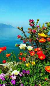 Pin De Mehmet Onder Aksungur Em Fotogŕafcilik Lindas Paisagens Paisagem Flores Natureza Bela