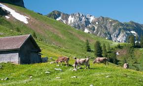 Um 10:15 uhr beginnen wir die wanderung. Wandern Santis Schwagalp Ebenalp Und Die Tour Zum Gipfel