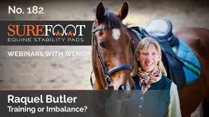 No. 182. Raquel Butler, DVM: Training or Imbalance?