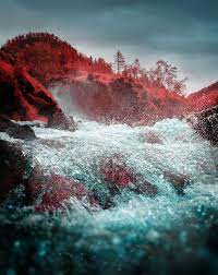 I Made A Lens Filter To Recreate Infrared Photography With My Modified Digital Camera Infrared Photography Photography Filters Kodak