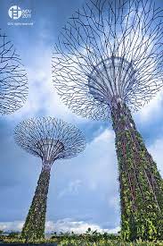 Golden And Silver Gardens Supertree Grove Gardens By The Bay Tropical Blue Singapore Malaysia