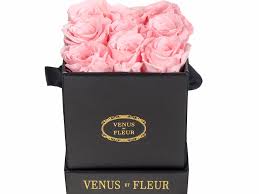 March 30, 2017 cut flowers owned by: Celeb Favorite Venus Et Fleur