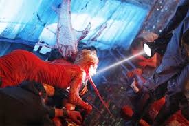 Eli roth, the writer and director of the original film, produced the remake. Cabin Fever 2 Spring Fever Danny Isn T Here Mrs Torrance