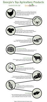 Georgia S Top Ten Ag Commodities Infographic Agriculture Education Agriculture Middle School Lessons