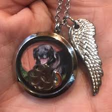 Personalized photo necklace sterling silver rectangle $35. Personalised Pet Memorial Gift Pet Loss Necklace Lock Of Hair Necklace Loss Of A Pet Floating Charm Memory Locket Fur Ashes Dog Keepsake In 2021 Personalized Pet Memorial Pet Memorial Gifts