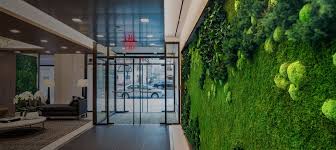 Handpicked local products · earn rewards & discounts Vertical Garden Preserved Plants For Interior Walls Planters Ceilings