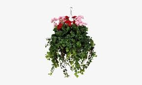 You'll receive email and feed alerts when new items arrive. Hanging Baskets Container Gardening Artificial Flowers Flower Hanging Baskets Png Free Transparent Png Download Pngkey