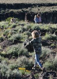 Image result for Little Catnip Spring - Sheldon Refuge Winnemucca NV