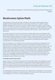 Mushrooms Sylvia Plath Essay Example