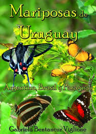 Argentina, paraguay y uruguay oficializaron el miércoles la candidatura para organizar en forma conjunta el mundial de 2030, cuando se conmemorarán los cien años de la primera copa del mundo en uruguay. Mariposas Del Uruguay Argentina Brasil Y Paraguay Butterflies Of Uruguay Argentina Brazil And Paraguay Nhbs Field Guides Natural History