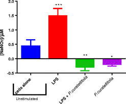 Image result for Psorospermum baumii