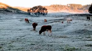 Jun 02, 2021 · temperatura sobe no sul do país, mas o frio volta no fim de semana 3 min exibição em 2 jun 2021 veja também: Rio Grande Do Sul Tem Madrugada Mais Fria De 2021 Clic Camaqua