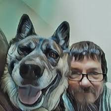 What brand of dog food is best for a 7-month-old Siberian husky?