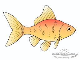 I have some specific goals when upgrading the deck: How To Draw A Goldfish Step By Step Easylinedrawing