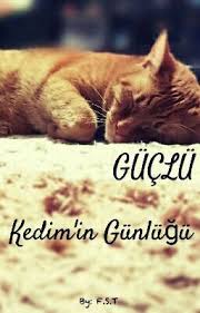 Guclu Kedim In Gunlugu Macera Ikiz Gozler