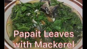 Wash the verdolaga well and trim away any brown leaves and knotty stems. Papait Leaves With Mackerel A K A Sarsalida Youtube
