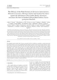 Image result for Afrostyrax kamerunensis