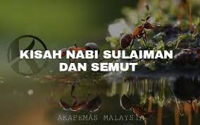 Kisah ini akan menyajikan suatu cerita pada zaman nabi sulaiman yang kaya raya dan dianugerahi kelebihan untuk berkomunikasi dengan semua binatang yang ada di dunia ini. Nabi Sulaiman Pernah Bertanya Seekor Akapemas Malaysia Facebook