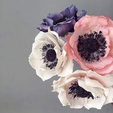 Flower Friday Sugar Anemones For Luck Hopefully They Will Keep You All Safe Thinking Of Everyone Who Encounters Matthew Have Flowers Anemone Sugar Flowers