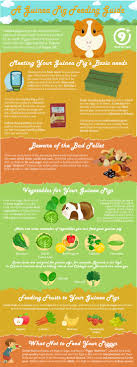 Pin On Classroom Pet