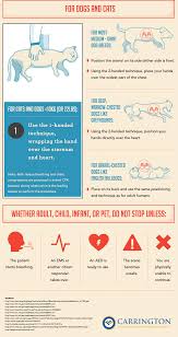 How To Perform Cpr Step By Step Instructions You Should Know
