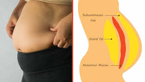 How To Have A Flat Belly In Two Weeks Quora