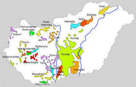 Przeciągnij i upuść szpilki na odpowiednie miejsce na rysunku. Hungarian Wine Regions Hungarian Wines Italian Wine Wine Map