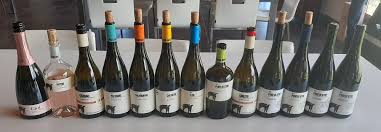 Das weingut san salvatore 1988 im gebiet des parks des cilento, jedes produkt und der nato in diesem raum erhält eine originalität und eine strecke, die typisch und prägend ist. I Vini Della Cantina San Salvatore 1988 Paestum Di Peppino Pagano