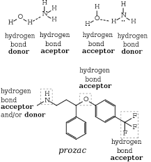 Can hydrogen bond with helium? Hydrogen Bond Wikipedia