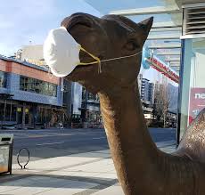 During this religious celebration, people crowded the streets in costume to party today, masquerade masks are worn for all kinds of parties. This Week On Lonsdale For March 20th 2020