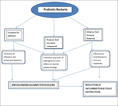 A Critical Appraisal Of The Effects Of Probiotics On Oral Health Sciencedirect