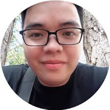 Professional Chiptuning