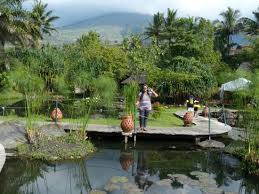 Gambar pemandangan air terjun bertingkat. Berfoto Dengan Latar Belakang Pemandangan Gunung Guntur Photo De Kampung Sumber Alam Garut Tripadvisor