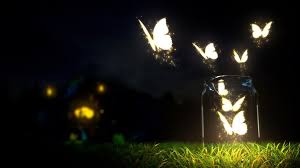 Download Best Hd Wallpapers For Laptop 1366x768 Free Download Gallery Butterfly Wallpaper Butterfly Lighting Good Night Wallpaper