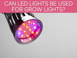 Leds normally emit less heat than normal lights. Can Regular Led Lights Be Used As Grow Lights Greenhouse Today