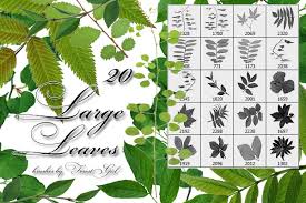 Abr ( photoshop brushes ). Large Leaves Brushes By Forestgirlstock On Deviantart